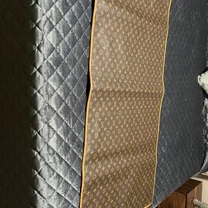 Louis Vuitton garment bag vintage